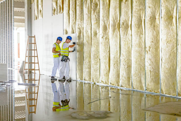 Best Insulation Materials and Products in Ketchikan, AK